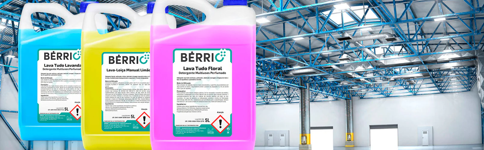 Limpeza Profissional de Alta Performance